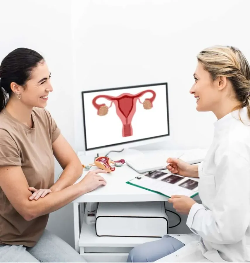 Women's Health Services treatment at WellHealth Medical Associates in Rochester Hills, MI