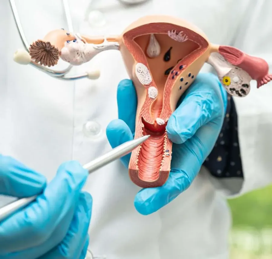 Urinary Tract Infections treatment at WellHealth Medical Associates in Rochester Hills, MI