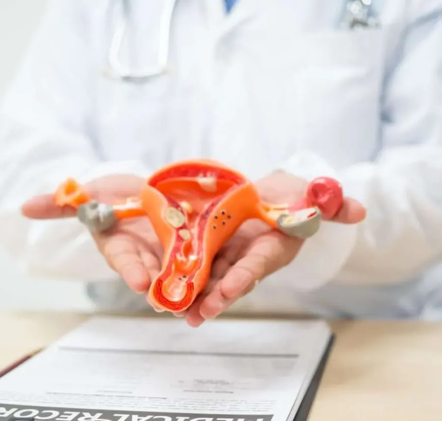 Vaginal Discharge treatment at WellHealth Medical Associates in Rochester Hills, MI
